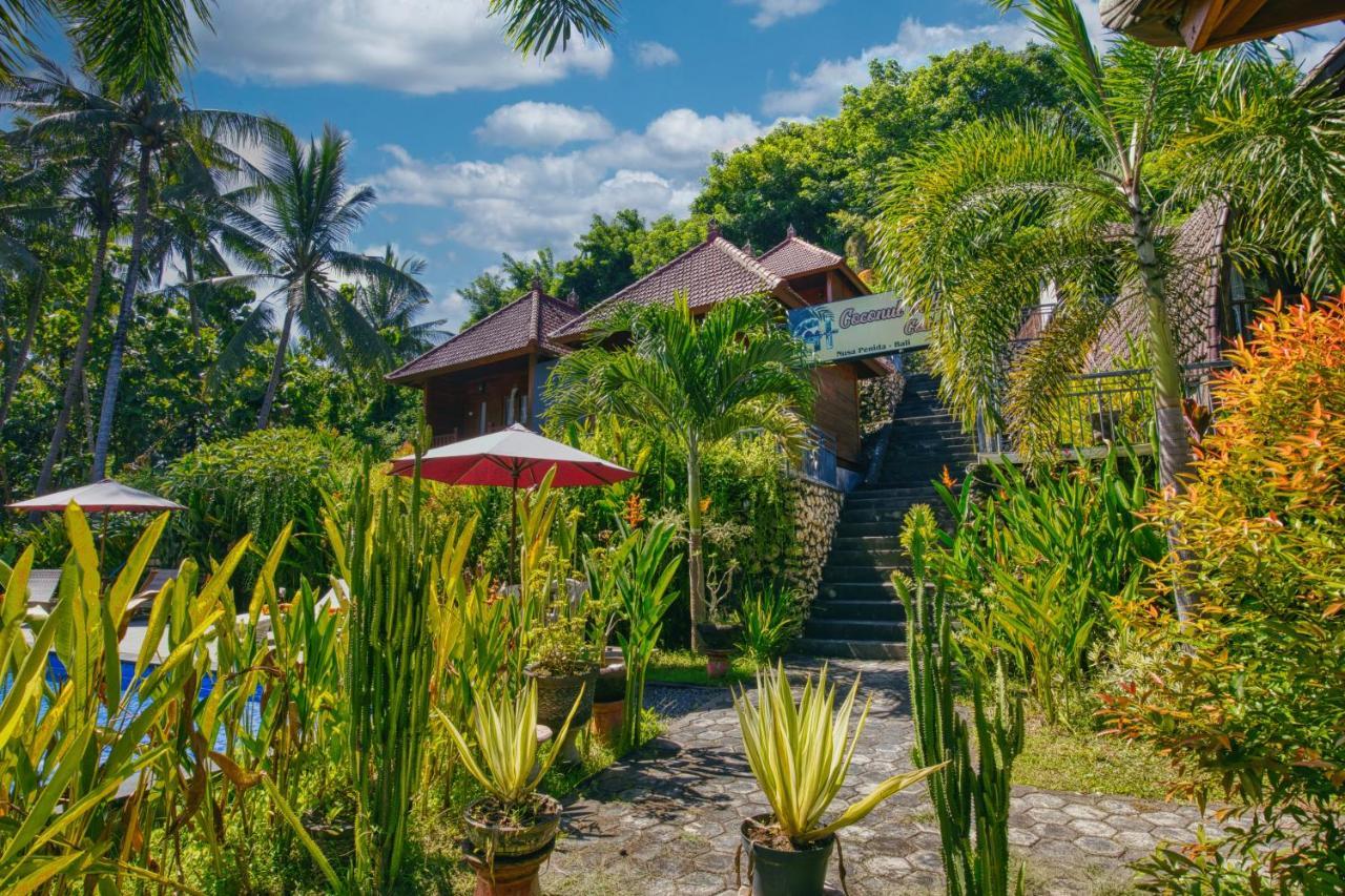 Coconut Hill Cottage Batununggul Exteriér fotografie